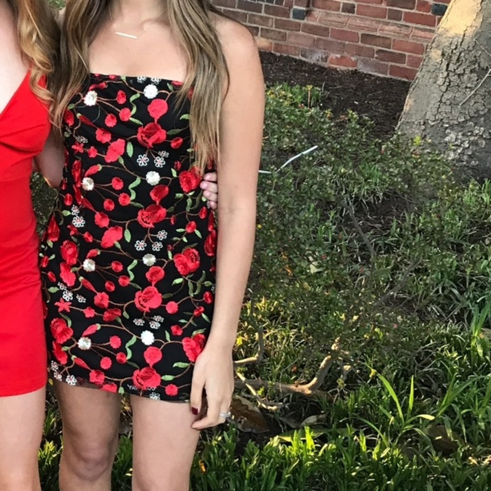Mini Rose Dress - Boohoo.